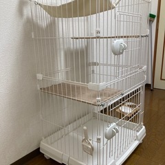 猫 キャットケ－ジの画像