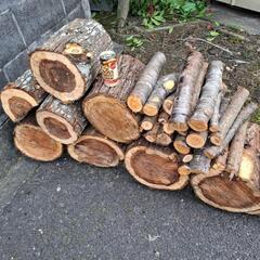 杉の丸太　薪　少し桜小枝の画像