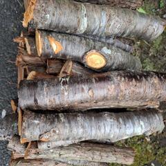 杉の丸太　薪　少し桜小枝の画像