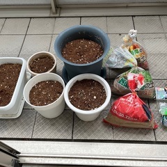 プラスチック鉢植え5個、土、赤玉