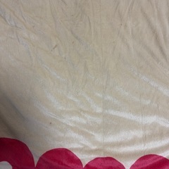 無料、大人用ヒーターマット★受け取り決まりましたの画像