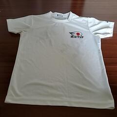 兵庫　中学生　陸上部　Tシャツ(S)