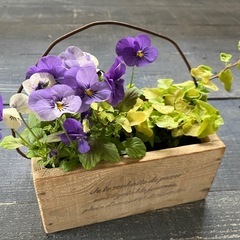🌱かわいい木箱📦作りませんか？