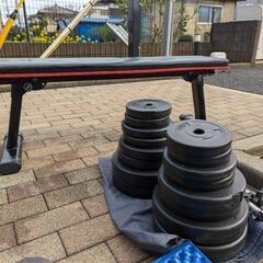 ダンベル30kgとベンチプレス台の画像