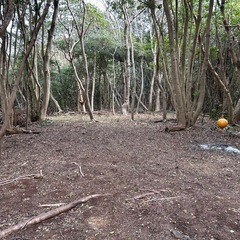 プライベート　キャンプ場の画像