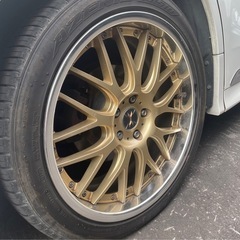 ウェッズ　マーベリック　709m 20インチ