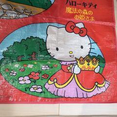 レジャーシートの画像