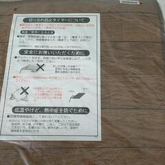 フローリング調　ホット　カーペット　※2400010494741の画像