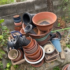 🪴🪴🪴大量植木鉢🪴🪴🪴全て受け取れる方のみの画像