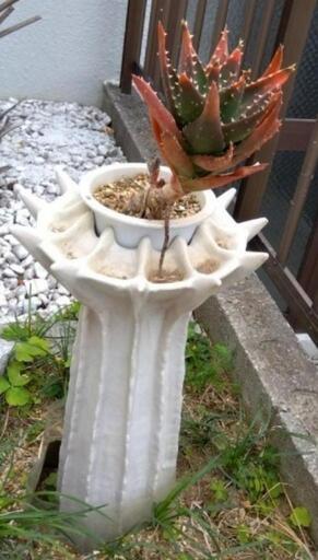 作家もの　陶芸壺　花器　多肉植物