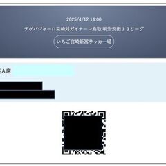 ■4/12(土)14:00テゲバジャーロ宮崎対ガイナーレ鳥取■ホームゴール裏A席２枚■の画像