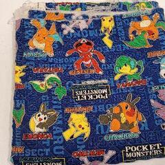 0327-507 ポケモン　ハギレ