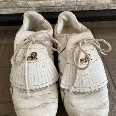 ゴルフ用品まとめて　シューズ　練習台　シューズ入れ　の画像