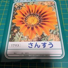 算数ノート