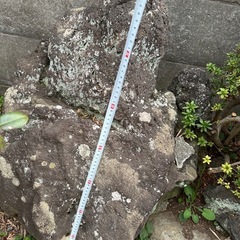 庭石　ガーデニングの画像
