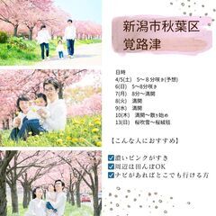 ファミリーフォト桜撮影会のお知らせ