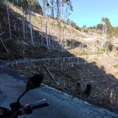 険道を走りたい方（年齢性別土日平日不問です😊随時内容更新しています） - 羽曳野市