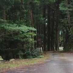 険道を走りたい方（年齢性別土日平日不問です😊随時内容更新しています） - 友達