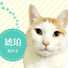見逃さないで！甘えん坊の男の子♪