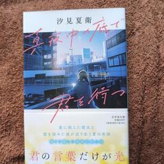 汐見夏衛先生の文庫本③