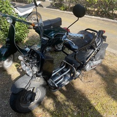 ズーマーの画像