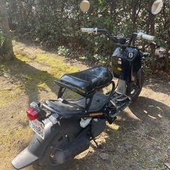 ズーマーの画像