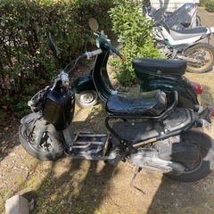 ズーマーの画像