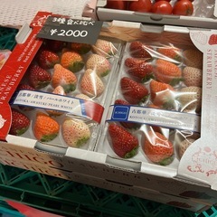 高級苺の🍓3種食べ比べパック追加入荷しました！✨
