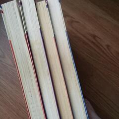 美内すずえ ４冊セット 花とゆめコミックスの画像