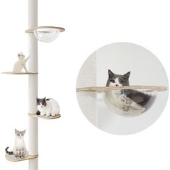 キャットタワー　突っ張り式の画像