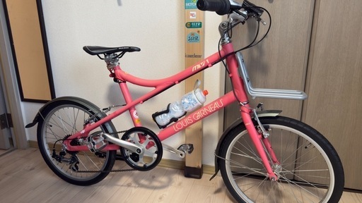 ルイガノ　ミニベロかなりきれい！