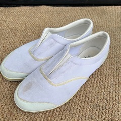上履き　体育館シューズ　27センチ