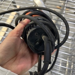 サンダー　オレンジの画像