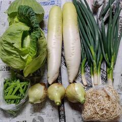 たっぷりお野菜６種類