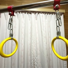 【売り切れ】子供用ブランコ、鉄棒、つり輪、バスケのゴール遊具の画像