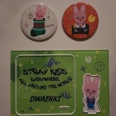 StrayKids チャンビン　セットの画像