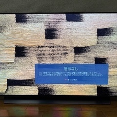 LG 有機ELテレビ 48型 OLED48C2PJAの画像