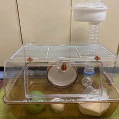 【4月中】サンコー ルーミィ ブラウン セット