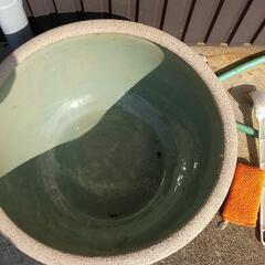 睡蓮鉢
