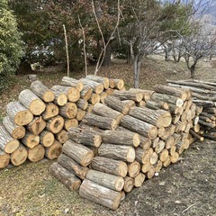薪用　ナラ、クヌギの丸太　