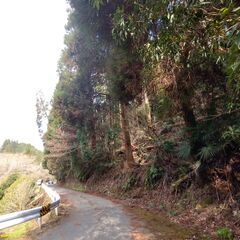 山林を無償でお譲りします！ - 土地販売/土地売買