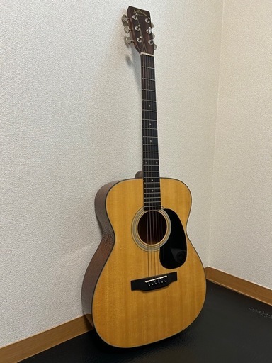 Aria Dreadnought アコースティックギター　ケースセット