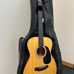 Aria Dreadnought アコースティックギター　ケースセット