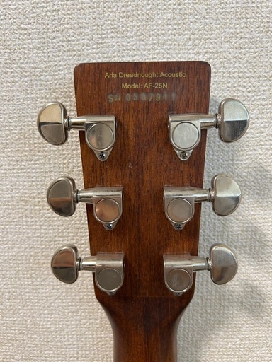 Aria Dreadnought アコースティックギター　ケースセット