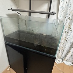 水槽セット➕台➕流木