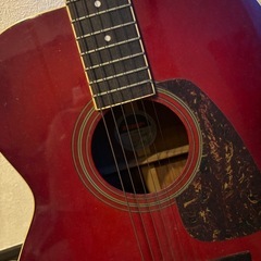 MORRISアコースティックギターの画像