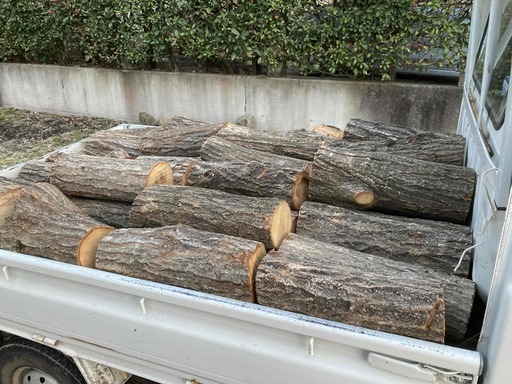 薪用 ナラ、クヌギの丸太