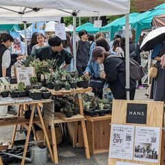 2025/4/5 (土) 多肉植物・塊根植物販売　みっけフェスタ2025 spring 出店 − 千葉県