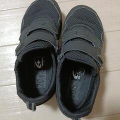 ムーンスター　キャロット　20cnの画像