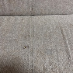 ソファ【決まりました】の画像